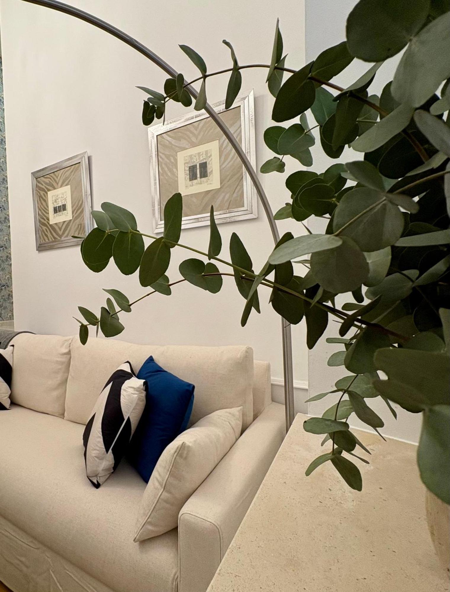 Don Pelayo Appartement